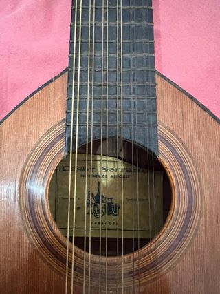 Bandurria Cesar Serrano