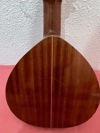 Bandurria Cesar Serrano