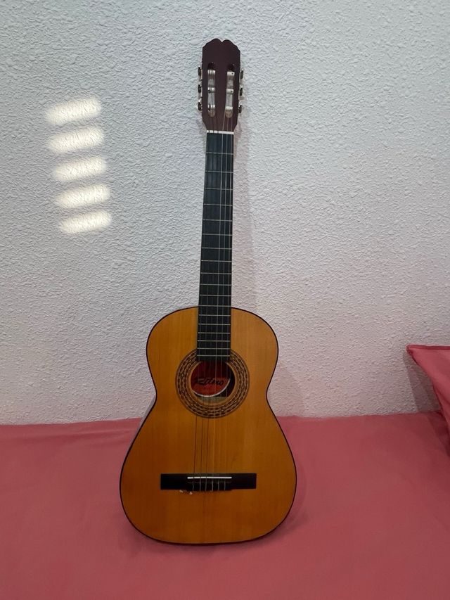Guitarra Ritmo T1