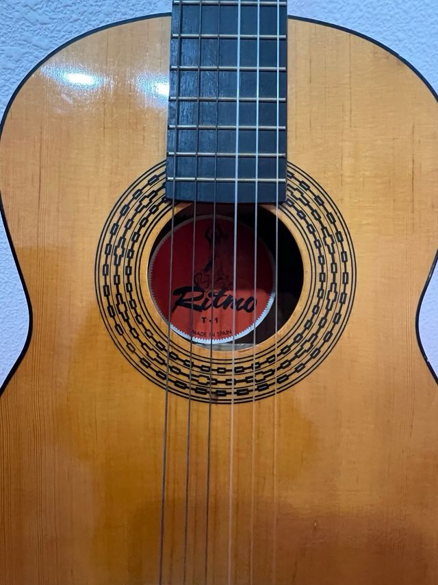 Guitarra Ritmo T1