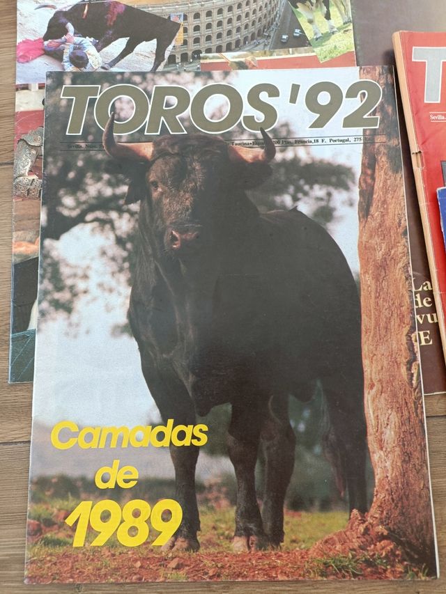 Revistas Toros 92 lote