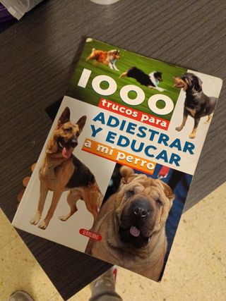 Adiestramiento de perros 