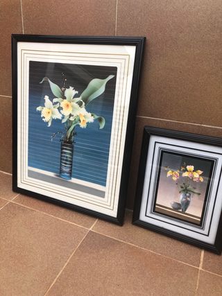 Conjunto de dos cuadros
