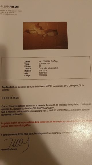 Eulalia Valldosera arte 