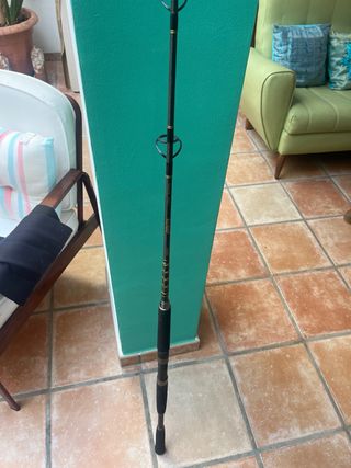 Caña de pesca jigging