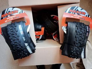 Neumatico maxxis ardent