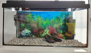 PECERA ACUARIO 60cm de ancho