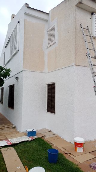 pintura amplia experiencia