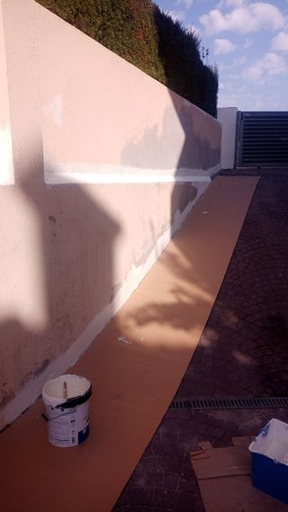 pintura amplia experiencia