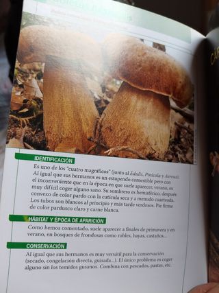 Vasija de cerámica+ regalo