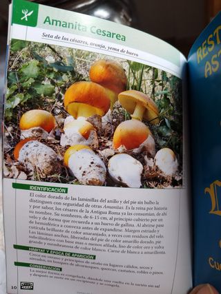 Vasija de cerámica+ regalo