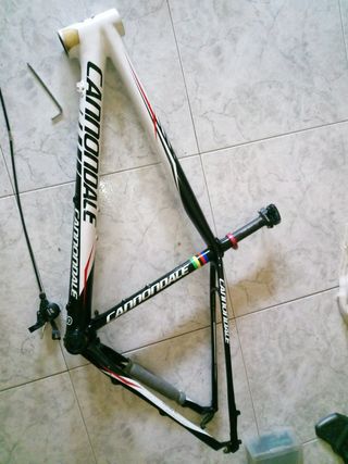 Cuadros bici carbono 