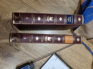 Rimas y leyendas . madame bovary