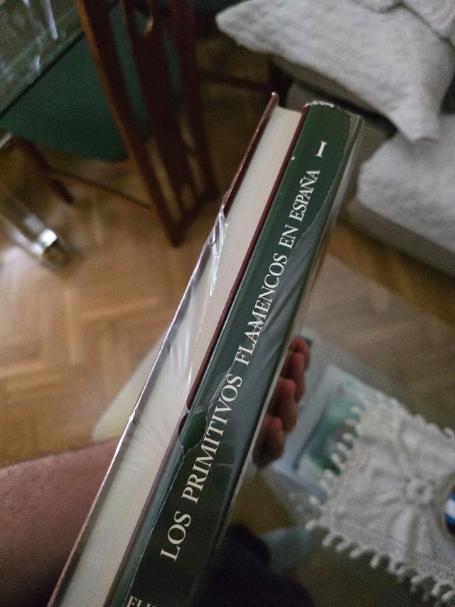 La pintura de los primitivos flamencos (2 libros)