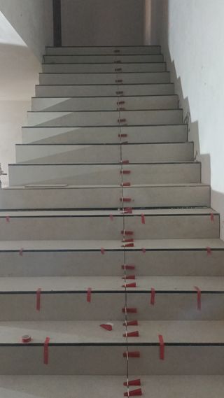 Alicatados asolados y aplacados Zaría