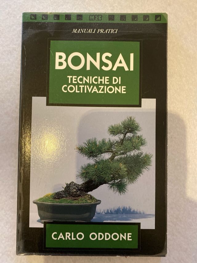 Bonsai tecniche di coltivazione