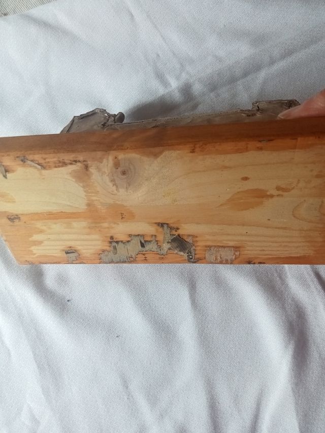 Hostal de San Marcos de Leon