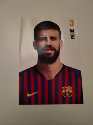Postal Piqué 