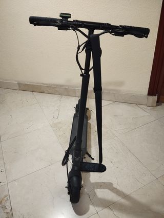Patinete eléctrico Egret Eight