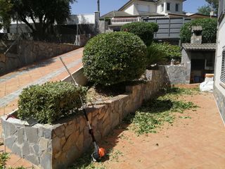 Jardinero economíco 