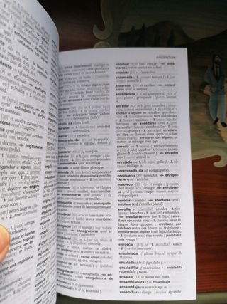 Diccionario Larousse francés