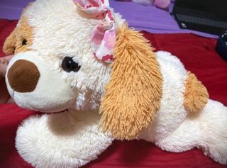 Peluche