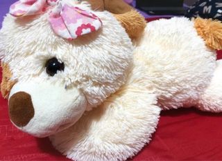 Peluche