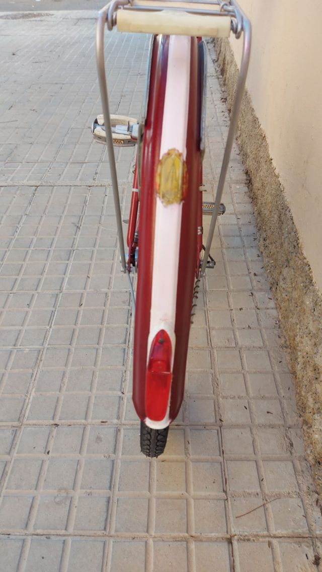 Bicicletta classica BSA