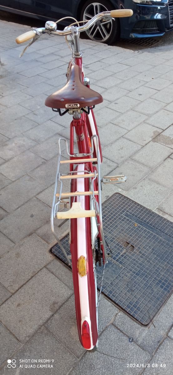 Bicicletta classica BSA