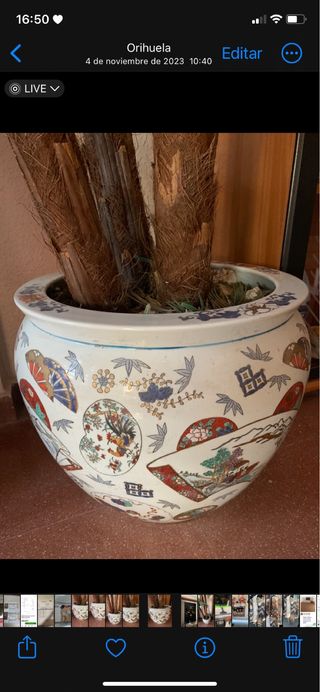 Macetero Porcelana china