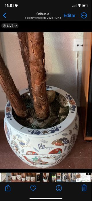 Macetero Porcelana china