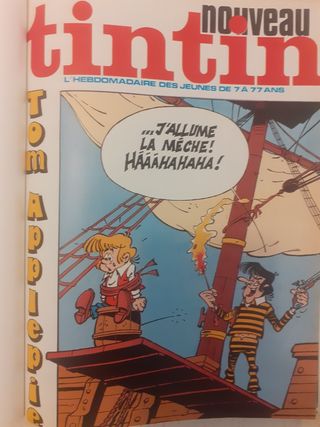 Album 14. Tintin. Antología