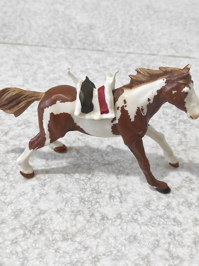 Caballo indio