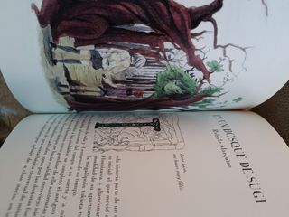 Libro Chikara El poder la de Naturaleza