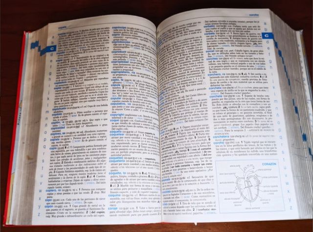 Diccionario Lengua Española PRIMARIA SM