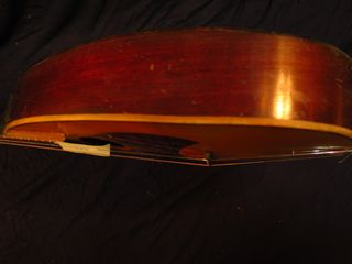 MANDOLINA B/5 LAÚD/GUITARRA