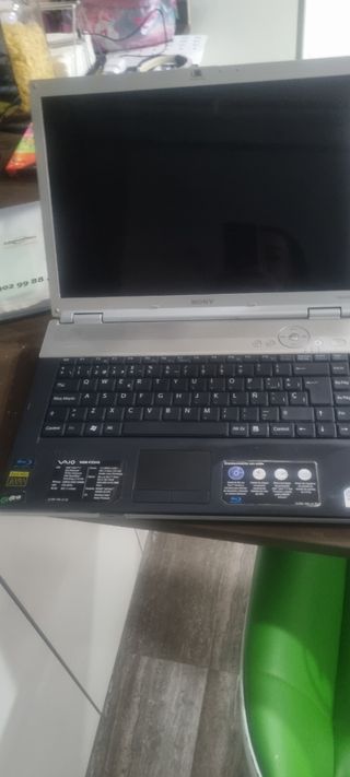 Ordenador portátil vaio.