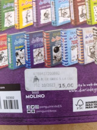 Diario de Greg.La cruda realidad