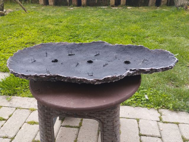 Lastra per boschetti bonsai