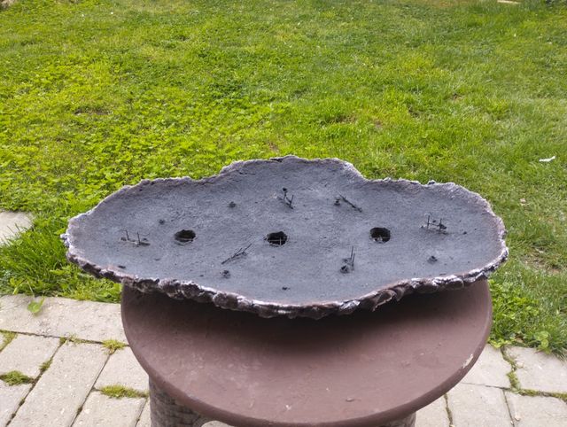 Lastra per boschetti bonsai