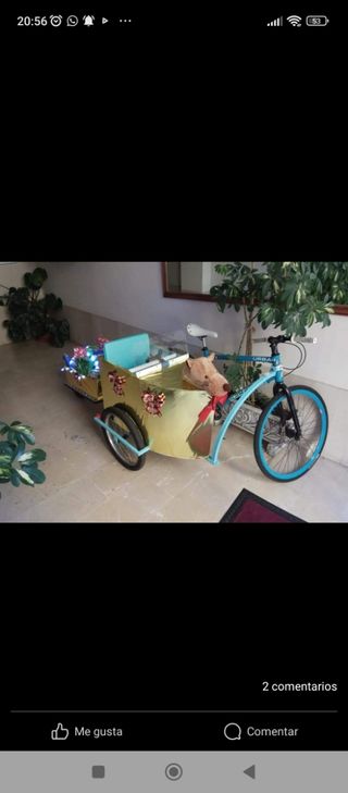 Bicicleta con sidecar 