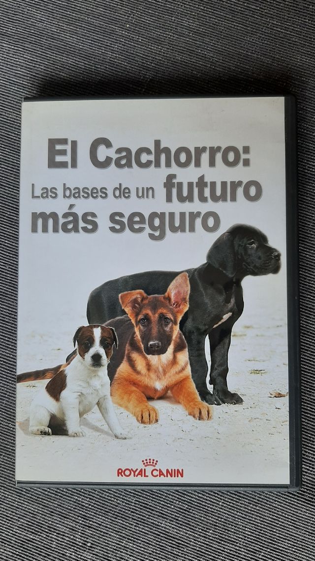Dvd Cachorro perro