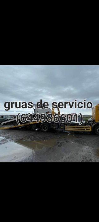 Servicio de Grua