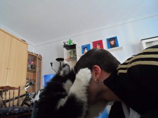 Cuidado / Guardería de Mascotas