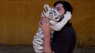 Cuidado / Guardería de Mascotas