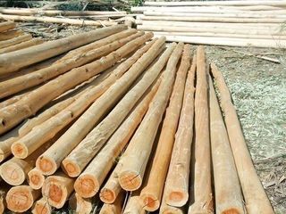 Vigas de madera