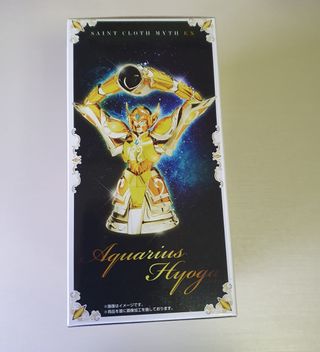 Saint Seiya Hyoga Acuario Exclamation