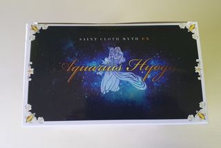 Saint Seiya Hyoga Acuario Exclamation