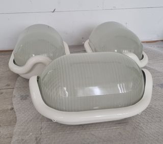 Flos noce Set n.6 Pezzi