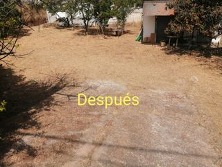 Jardinero limpieza de parcelas 